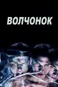 постер